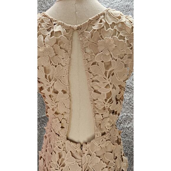 FOREVER 21 Cream Nude Emb Lace Overlay Taupe Bodycon Midi Dress SEE~ Sz Med 6 8 - Picture 4 of 5